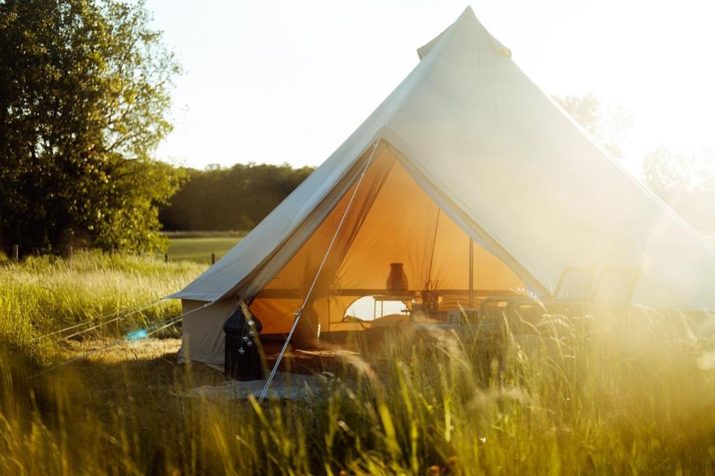 a tent in a field of tall grass at Naturglamping in Kristianstad