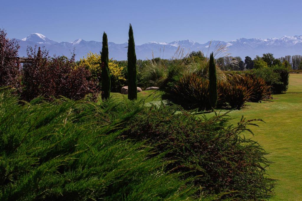 un campo de césped con árboles y montañas al fondo en La Estacada Polo & Lodge en Tunuyán