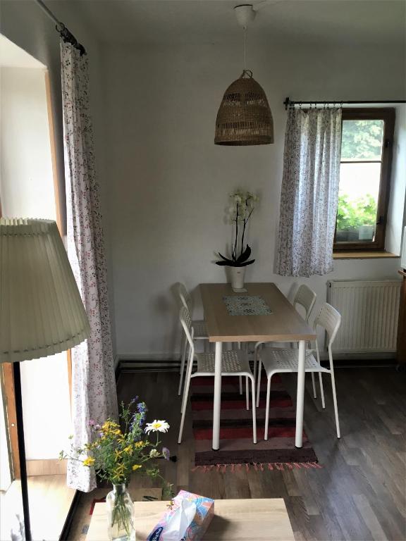 Fotografie z fotogalerie ubytování apartmán U památného stromu v destinaci Česká Lípa