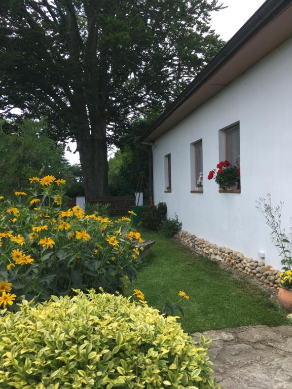 Fotografie z fotogalerie ubytování apartmán U památného stromu v destinaci Česká Lípa