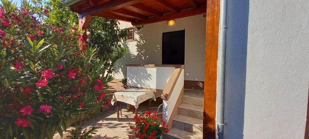 Zahrada ubytování Eco Secluded apartments Zabodarski