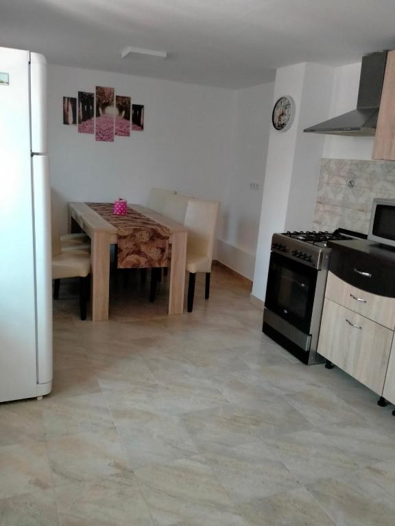 Kuchyň nebo kuchyňský kout v ubytování Casa Luminița