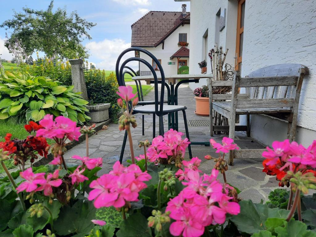 A garden outside Grainmeisterhof