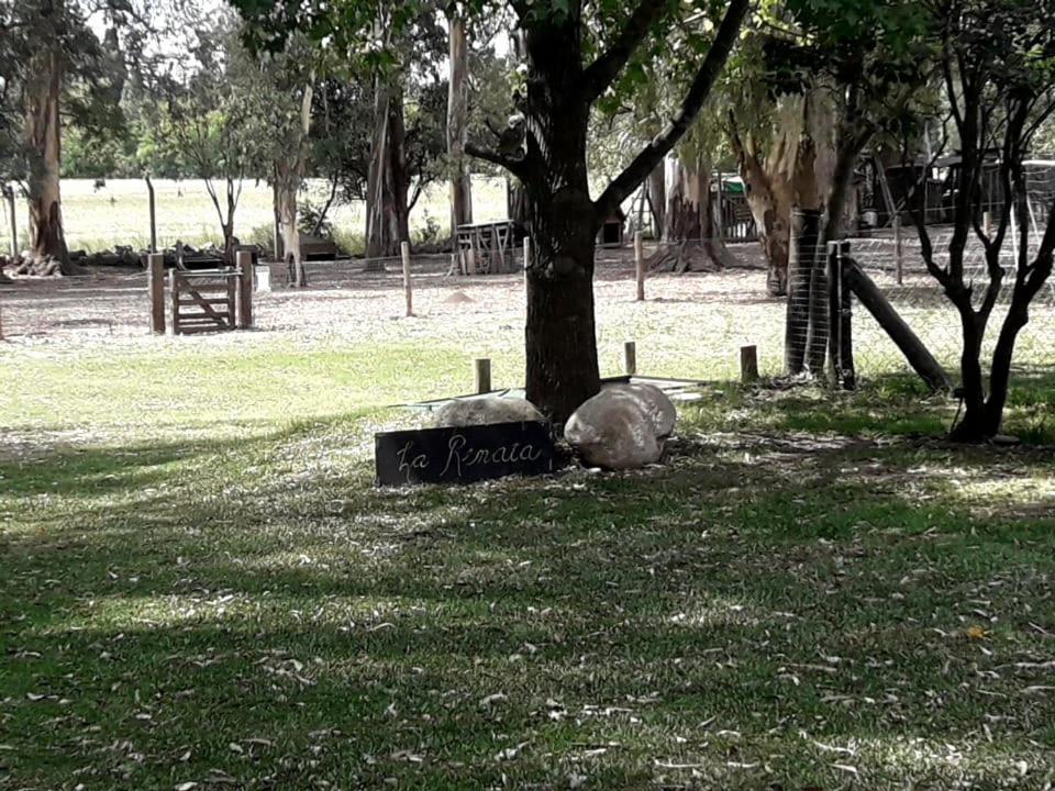 Casa de Campo La Renata