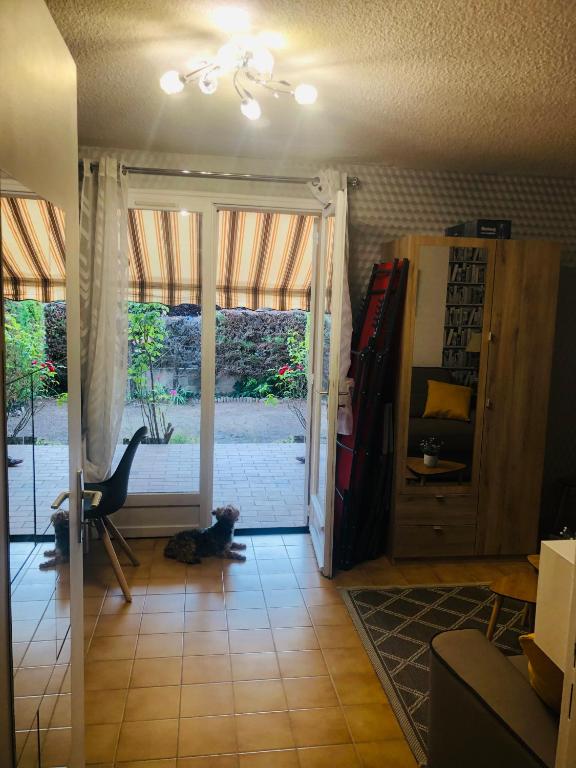 un chien assis sur une chaise dans un salon dans l'établissement CERES, à Gréoux-les-Bains