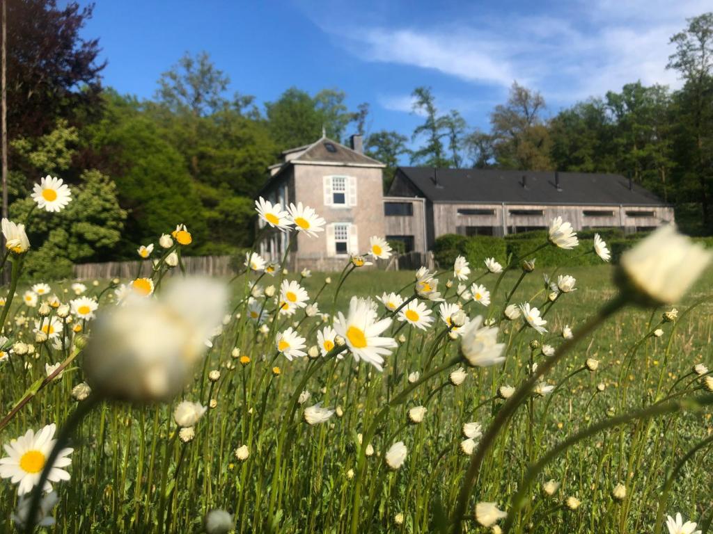 Zahrada ubytování Domaine De L'Ardoisiere