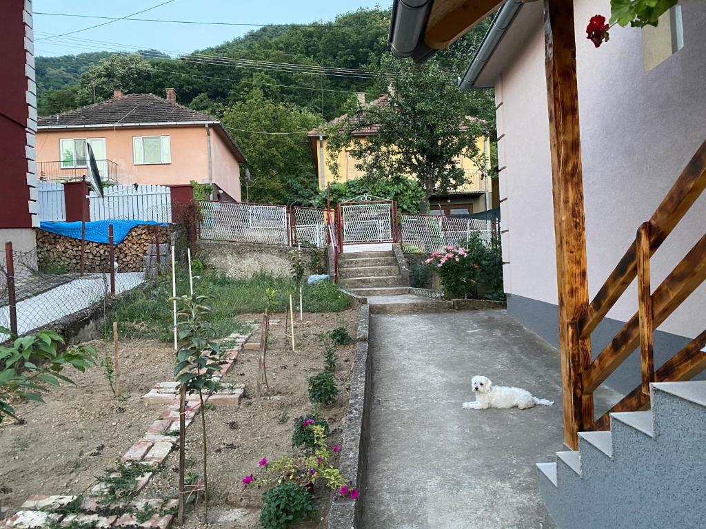 Zahrada ubytování Smeštaj Zeka Tekija