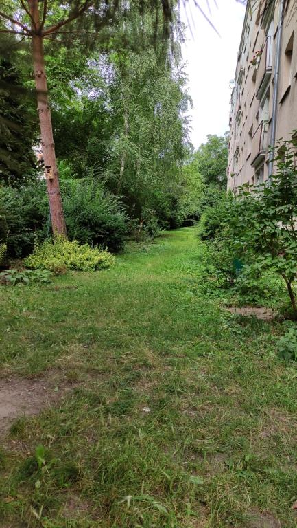 Vonkajšia záhrada v ubytovaní Oliva Work&Rest