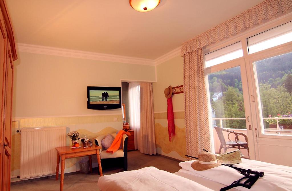 TV a/nebo společenská místnost v ubytování Hotel Weingärtner
