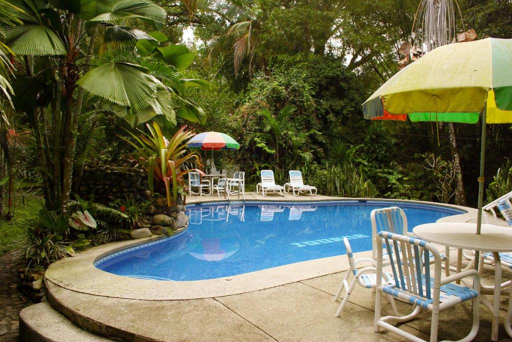 Bazén v ubytování Cabinas Iguana Cahuita nebo v jeho okolí