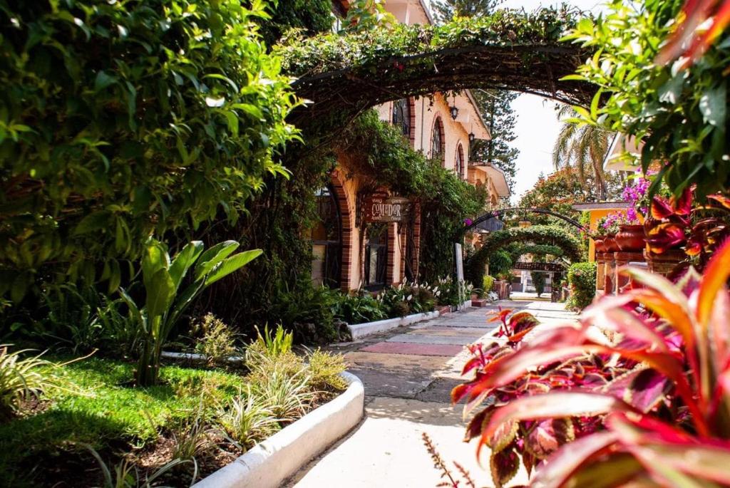 un jardin avec des plantes et une arche dans un bâtiment dans l'établissement Ideal Ixtapan, à Ixtapan de la Sal