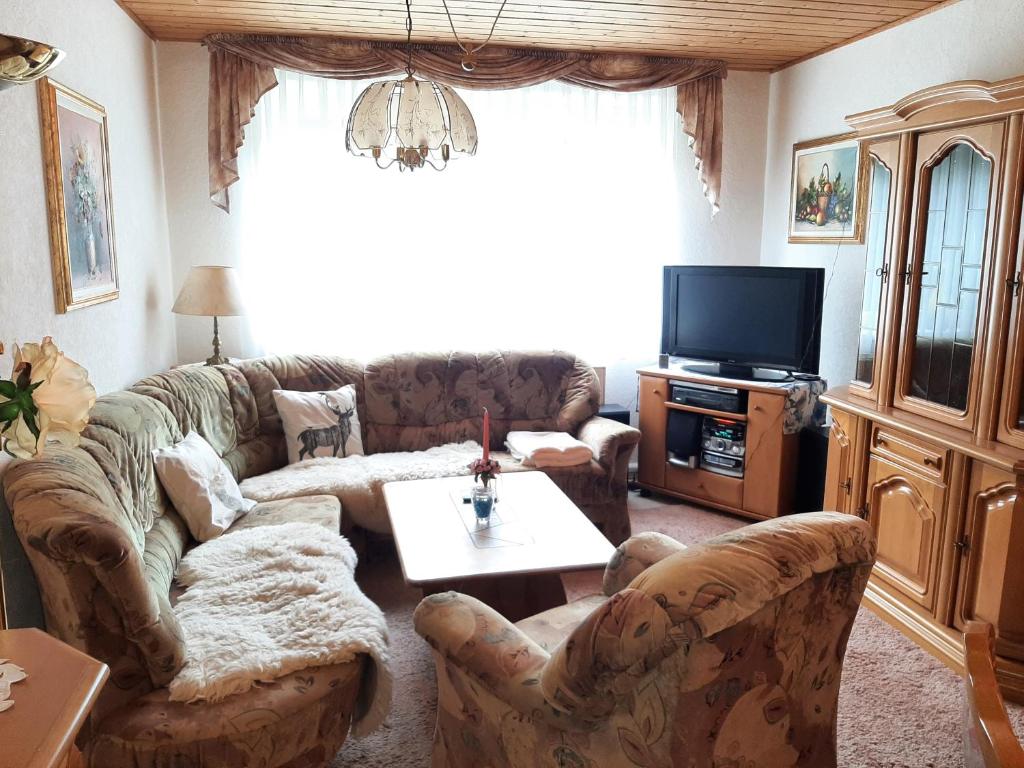 salon z kanapą i telewizorem w obiekcie Ferienwohnung Waldblick Oberhof w mieście Oberhof