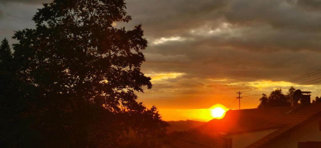 a sunset with the sun setting behind a tree at Erd´s Hoimatle Ferienwohnung in Jungholz