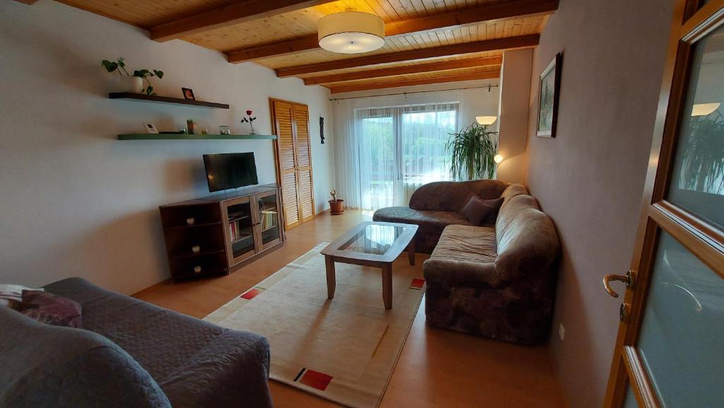 TV a/nebo společenská místnost v ubytování Apartmány Pod Lesem
