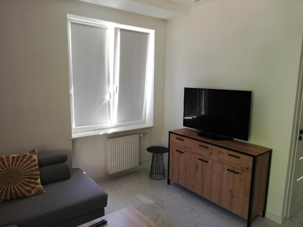 Televízia a/alebo spoločenská miestnosť v ubytovaní Lipowa 22 Centrum Apartament