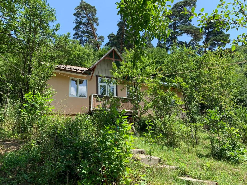 DILI Cottage في ديليجان: منزل في وسط الغابة