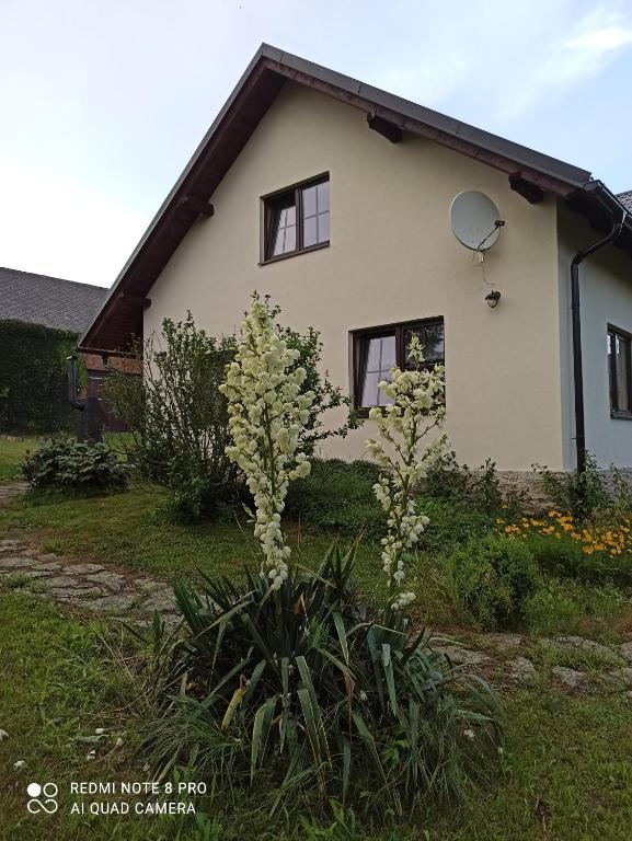 Zahrada ubytování Chalupa Hrabišín