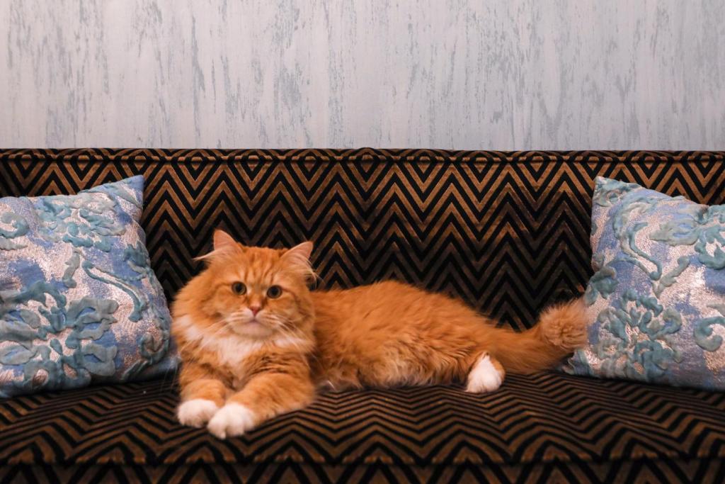 Ferdinandhof Apart-Hotel - Resim 21