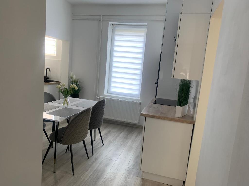 Kuchyňa alebo kuchynka v ubytovaní D&V Apartman
