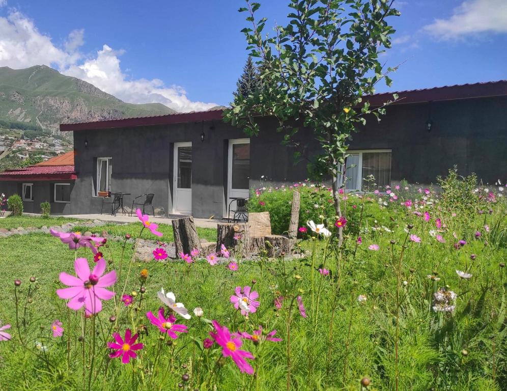 Vista general d'una muntanya o vistes d'una muntanya des de l'hostal o pensió