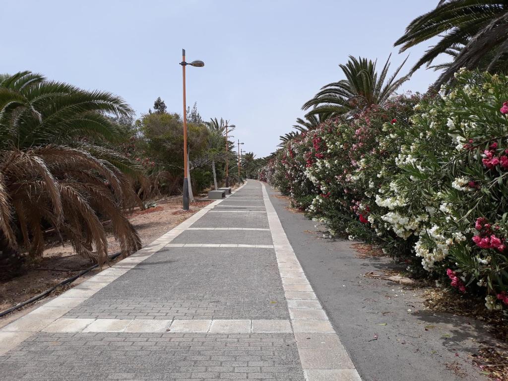 Fotografie z fotogalerie ubytování FRAMANTIS App No 6 v destinaci Costa Calma
