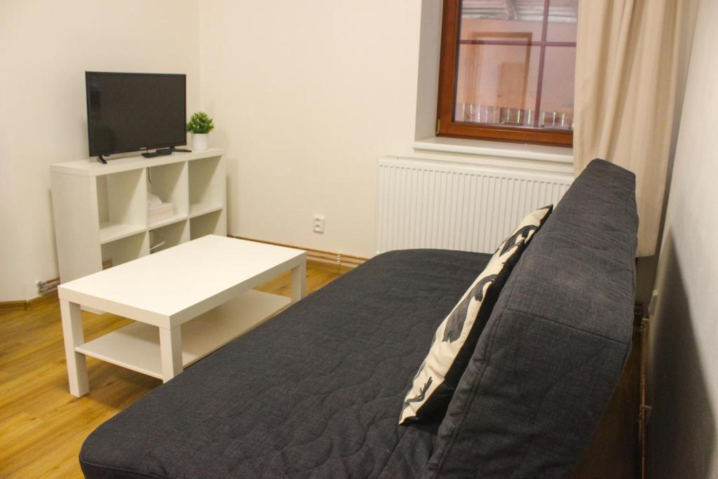 TV a/nebo společenská místnost v ubytování Apartmán Svoboda nad Úpou