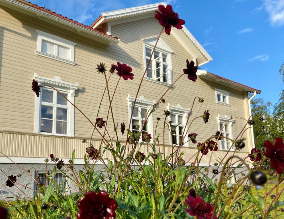 Zahrada ubytování Lapland Lodge