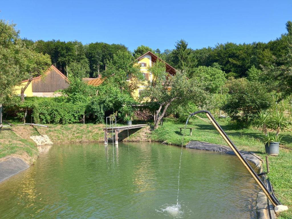 a body of water with a hose in the middle at Appartement Weingut Schoberhof in Bad Gleichenberg