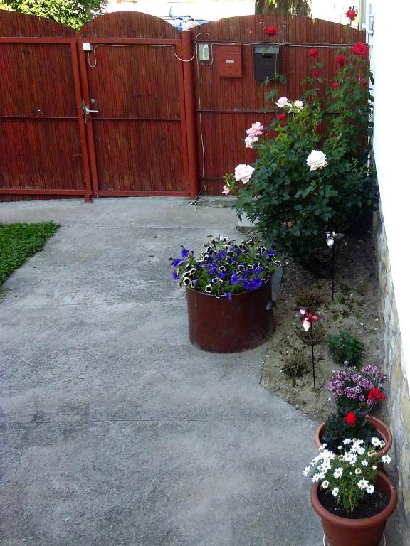 Zahrada ubytování Budai Vám Apartmanház
