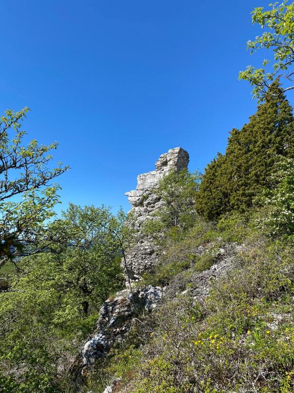Příroda nedaleko prázdninového domu