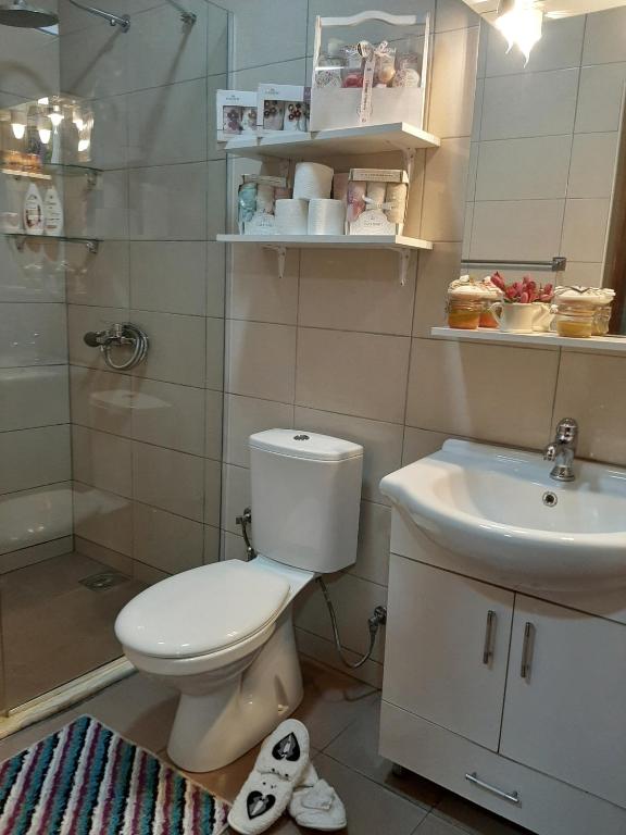 a bathroom with a toilet and a sink and a shower at Guesthouse DONA in Ulcinj