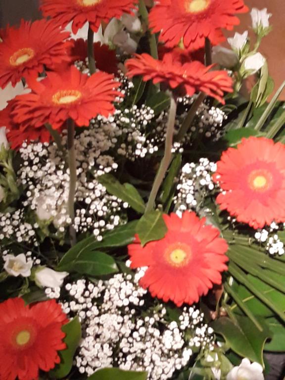 Un mazzo di fiori rossi in un mazzo di fiori di Da Hele & Zozi a Signa