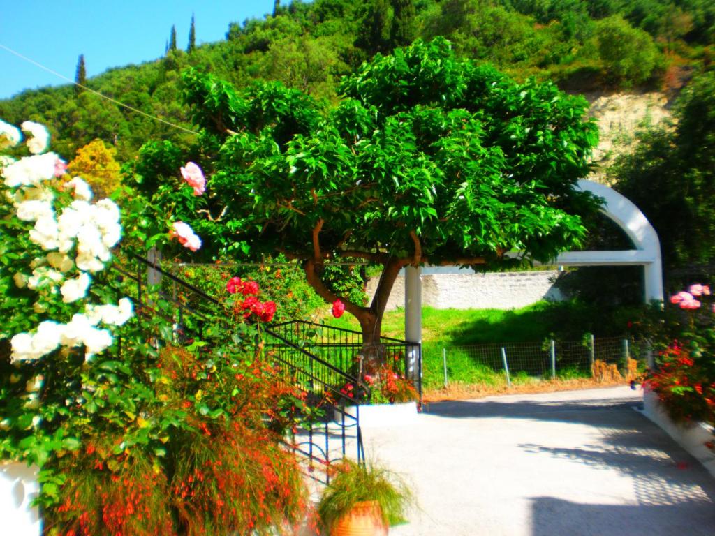 A garden outside Oasis