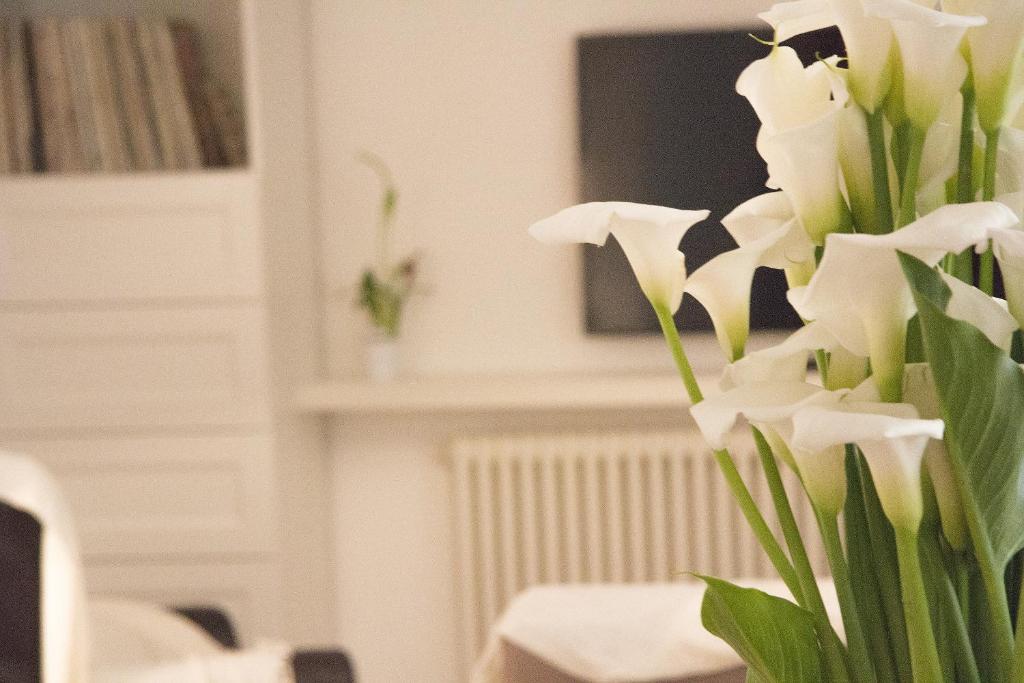 TV a/nebo společenská místnost v ubytování Casa Portofino Rooms&Breakfast