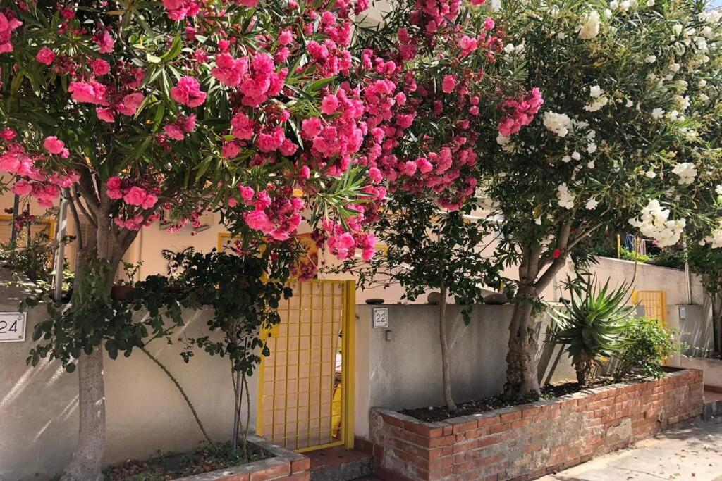 Φωτογραφία από το άλμπουμ του Casa di Salvo σε Finale