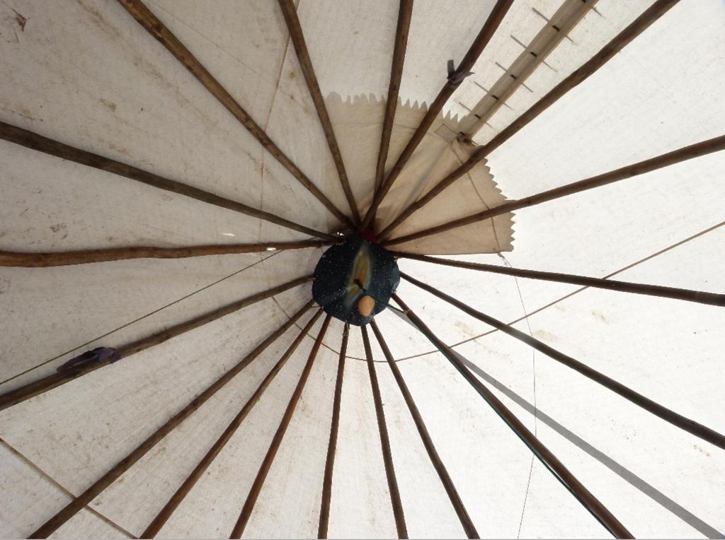 Fotografie z fotogalerie ubytování Wacky Stays - unique farm-stay glamping rentals, FREE animal feeding tours v destinaci Kaikoura
