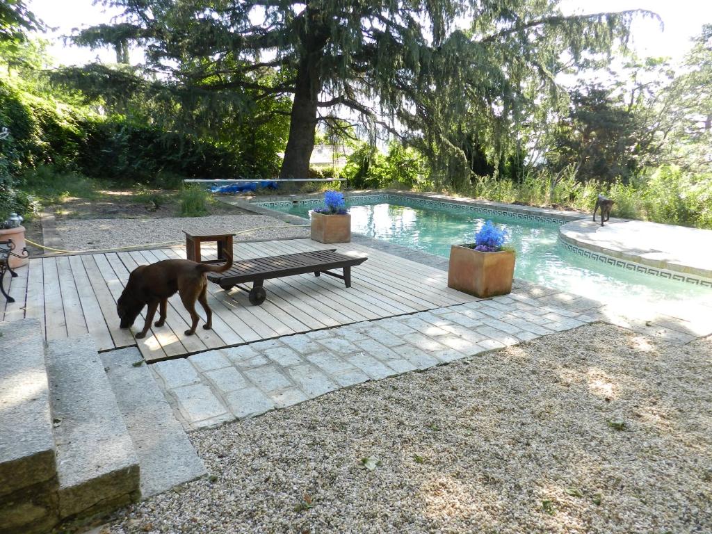 Bazén v ubytování La Casita de Navacerrada nebo v jeho okolí