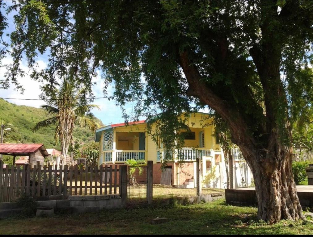 En have udenfor Kactus-Kréyol