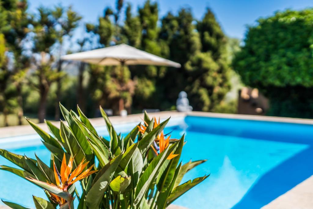 Bazén v ubytování Casa Piscina nebo v jeho okolí