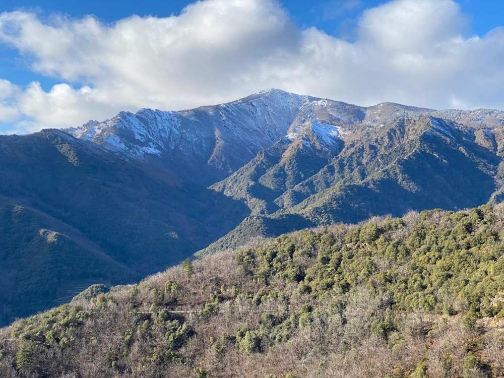 an aerial view of a mountain range with trees at Maison LGBT des Monts Bleus in Saint-Roman-de-Tousque