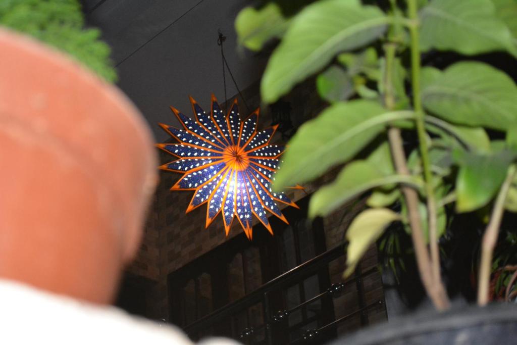 Foto dalla galleria di Aaron's Homestay a Cochin