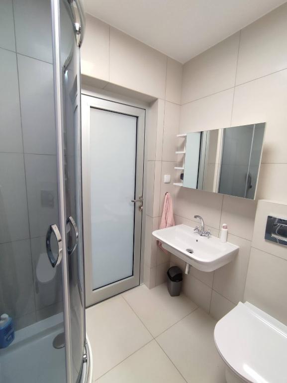 Kúpeľňa v ubytovaní APARTAMENT PRZY PARKU ŚRÓDMIEŚCIE