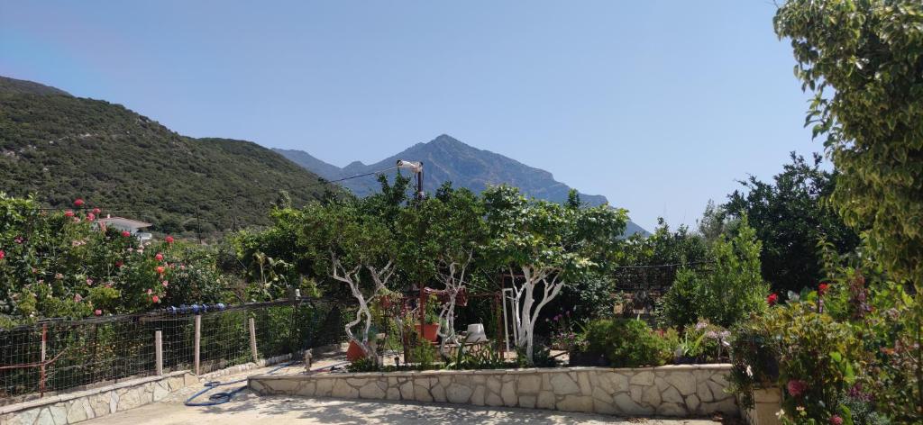 Fotografia z galérie ubytovania Rontaki Farm v destinácii Kyparissia