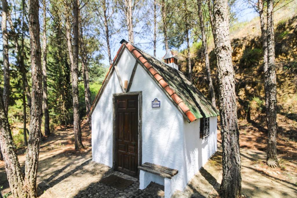 Príroda v okolí dovolenkového domu