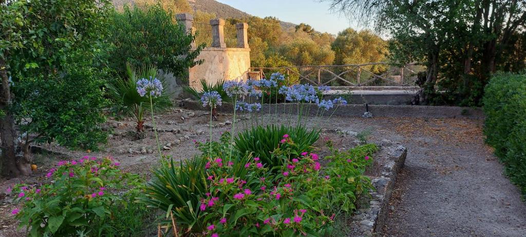 Zahrada ubytov&aacute;n&iacute; Casa Castellitx Mallorca