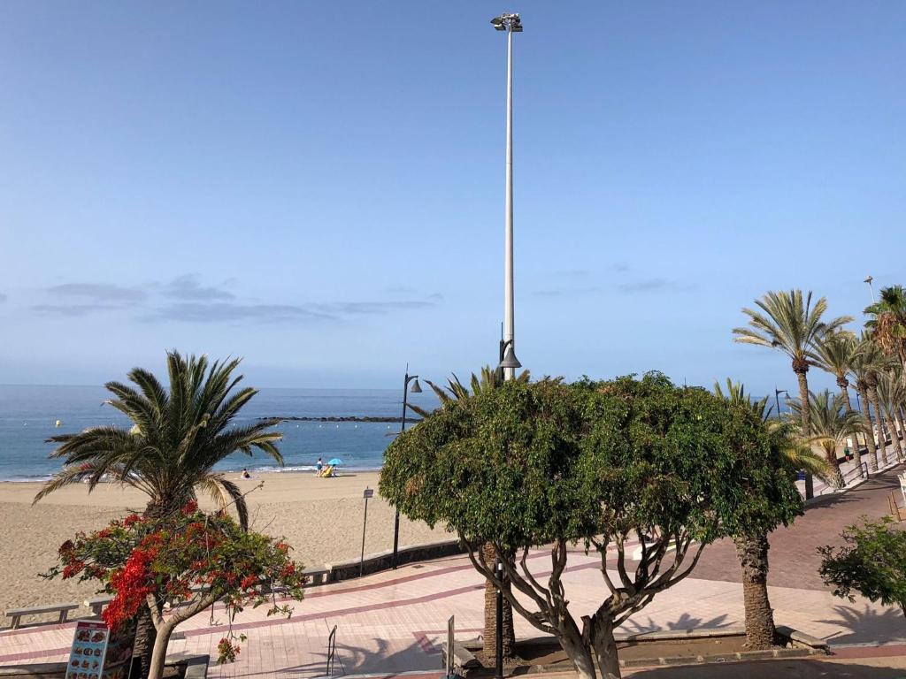 アロナにあるPlaya de las Vistas Sea View Meerblick FREE WIFIのヤシの木と海を背景にしたビーチ