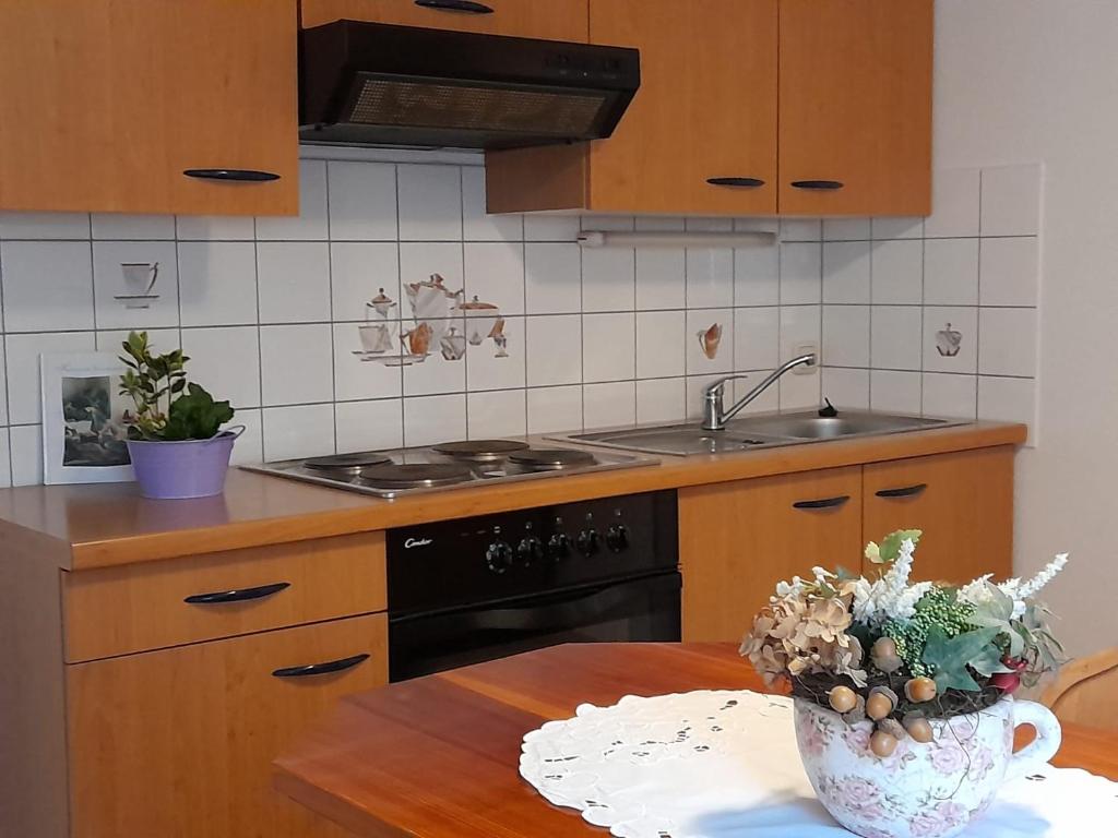 Kuchyň nebo kuchyňský kout v ubytování Pension Landhaus Machold