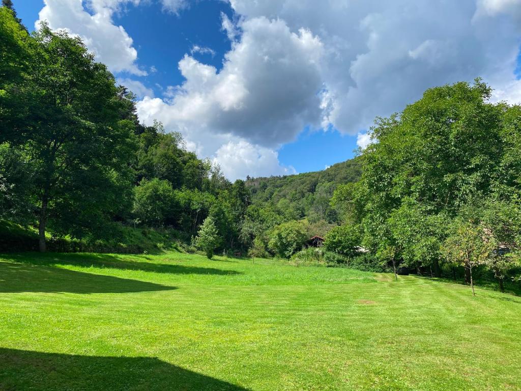 a large grass field with trees and a blue sky at La Araucania, 2 personnes - WIFI in Rombach-le-Franc