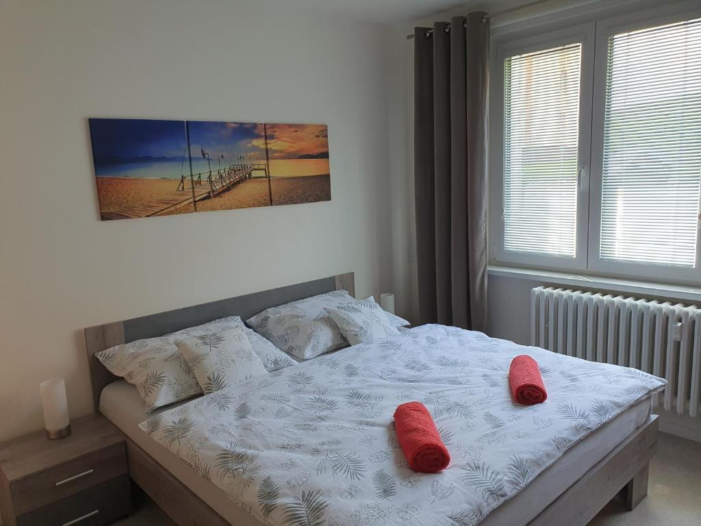 Postel nebo postele na pokoji v ubytování Family apartmán Kovářská