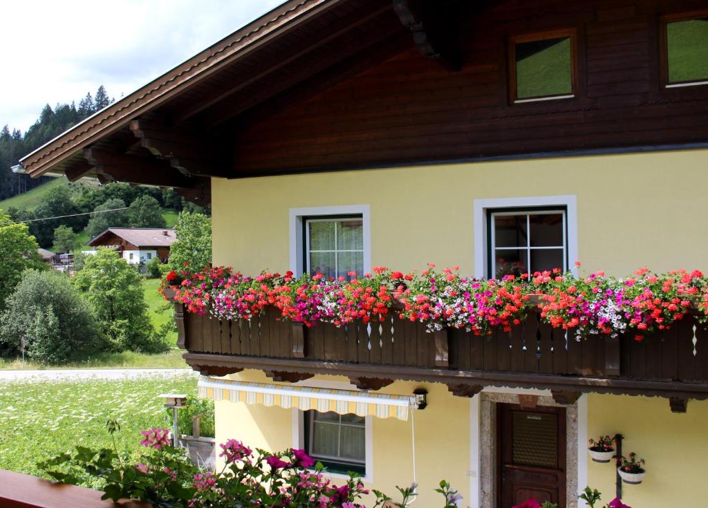 ein Haus mit Blumen auf einem Balkon in der Unterkunft Appartement Gleiminger in Forstau
